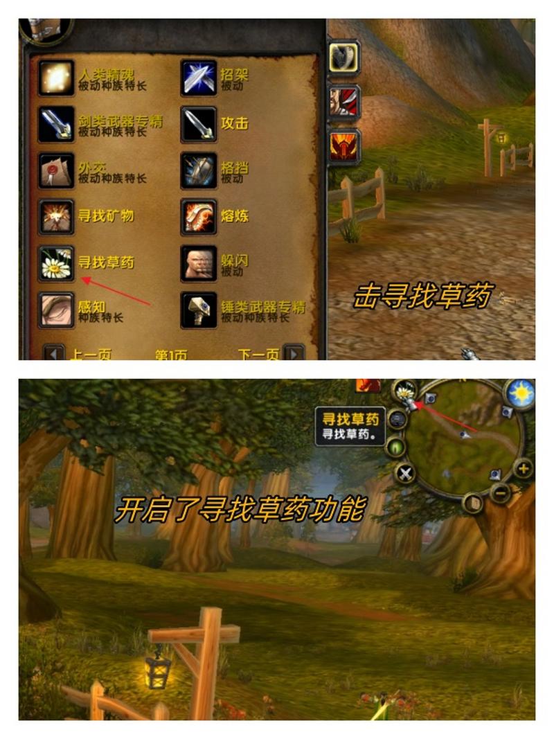 魔兽世界“为剑叶草药剂”任务全攻略