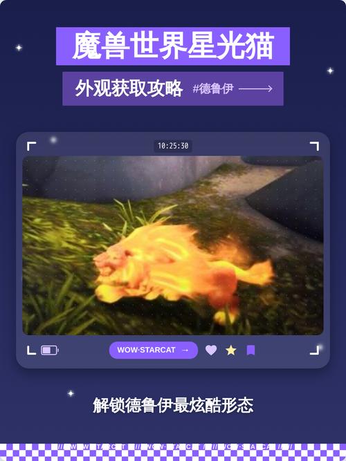 魔兽世界“星光外套”获取全攻略:从副本挑战到外观解锁