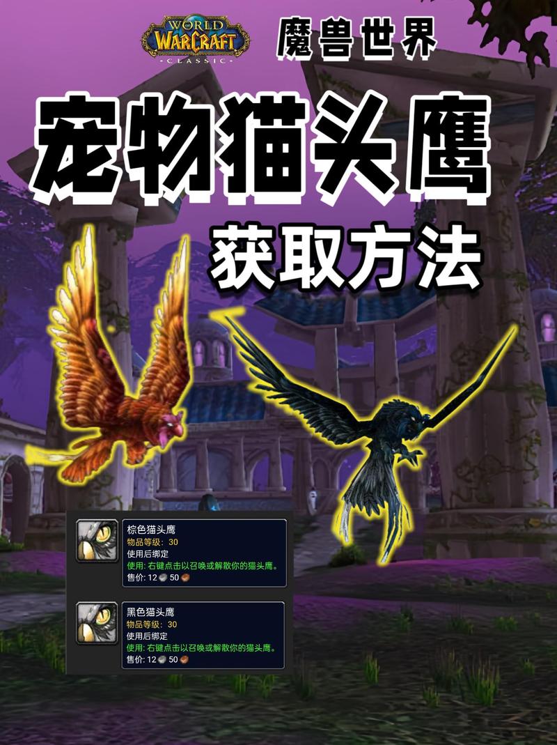 《魔兽世界“猎鹰的召唤”任务获取与完成全攻略》